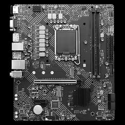 PALADIN — фото 6